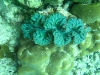 thailand-1771_1