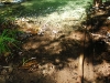 thailand-1904_0