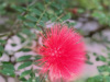 A68AEEC4-7520-4F22-9D87-52C3190BCA08