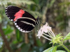 A7015477-D248-49BF-8D17-C60F6978F133